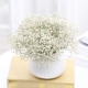 Белый полный звездный вечный цветочный ваза B B B B