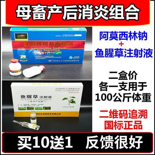 Свинька, крупный рогатый скот и овец после родовых антиоблажных инъекций в сочетании с животными и животными, вводимыми амоксициллином натрия houttuynia cordata инъекция