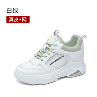 9291 Белый зеленый