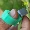 Dưa hấu 秧 fixer cây dâu tây đặc biệt cây nho clip ngã ba cung cấp đạo cụ nông nghiệp tạo vật định giá nhựa - Nguồn cung cấp vườn