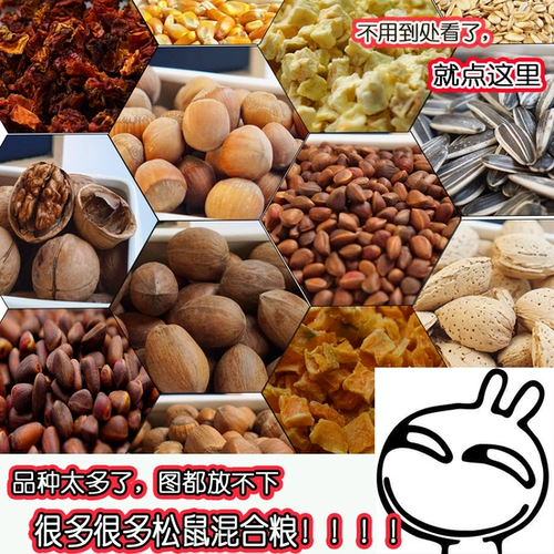 Белка самостоятельно оборудованная зерно Sheng Guo Grain Package Золотой цветок демон король снежный красный