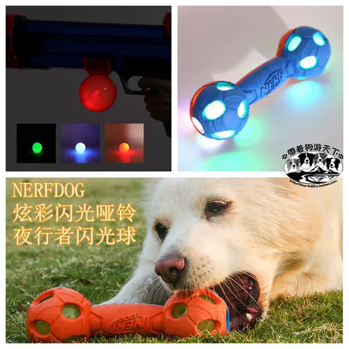 Турировать собаку в мире Nerfdog Dog Toy Toy Toy Night Lineist Flash Ball Night Light Ball Красочный и сверкающий тупой шар Bell Ball