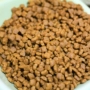 Đậu gạo Doll Pet Thực Phẩm Cát Thực Phẩm Cát Sữa Bánh 1-4 Tháng Vắt Sữa Thời Gian 34 Cat Thực Phẩm 500 gam Số Lượng Lớn Số Lượng Lớn thực phẩm thức ăn cho mèo