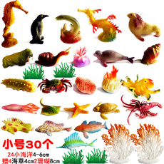 Игрушки-животные 迷你海洋动物模型仿真海底生物海星螃蟹热带鱼海豚配海草儿童玩具 Ding Hua