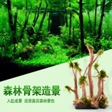 Рыба -аквариум Пандшафт украсите тонущую деревянную кучу Rhododendron корневой скелет ветви вьетнамцев 栖 鱼 鱼 鱼 鱼 鱼 鱼 鱼 鱼 鱼 鱼 鱼 鱼 鱼 鱼 鱼 鱼 鱼 鱼 鱼