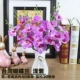 2 куча Тайваня Phalaenopsis Light Purple+Цветочная корзина
