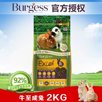 Точечные бержеса