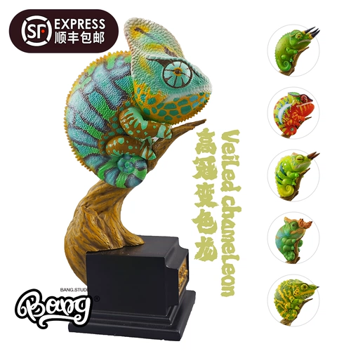 [Bang] Spot Museum Fresh Dragon Story Story Pets Pets Petts Model Model Gist