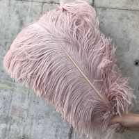 Светлый старый порошок