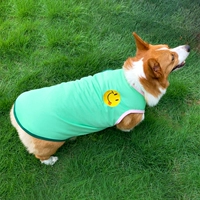 Зеленое лицо