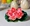 Hồ bơi giả hoa sen giả hoa lily nhựa cho phật sen sen lá hoa giả trang trí hoa cao hoa nhân tạo cắm hoa - Hoa nhân tạo / Cây / Trái cây