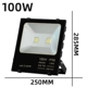 Philips, 110v, 100W