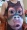 Ác ma nguệch ngoạc khỉ khỉ gorilla mồ hôi vest béo cỡ lớn nam tay ngắn áo thun họa tiết cá tính áo ba lỗ nam cao cấp