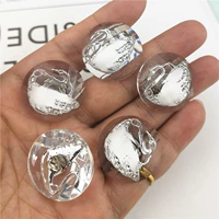 Прозрачный серебряный край белый лебедь