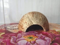 Маленький, диаметр 11-12мм