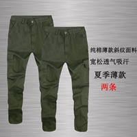 Оливковые зеленые тонкие диагональные линии [два]