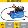 DSY-50 Double-cylinder large flow 540L/hour