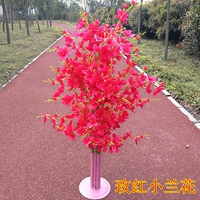 Xiaochi Rose Red Products