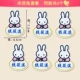 6 Miffy Rabbit 6