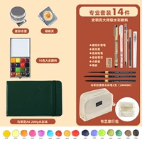 D10 Xiaofang 16 -Color Big History Professional Set Set