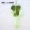 Mô phỏng Wisteria Hoa Bean Bean Chuỗi Violet Nhựa Silk Hoa Trang trí Vine Vine Trần Hoa Wedding Fake Hoa Mây - Hoa nhân tạo / Cây / Trái cây
