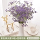 Purple, полная Star 10 ветвей+керамические вазы Fur Lotus
