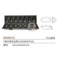 SN9013/7