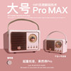 Large Pro Max Morandi Powder Bluetooth 5.0