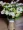 Bình hoa mây sắt rèn hoa bình hoa trang trí hoa mây giỏ hoa trang trí nhà - Vase / Bồn hoa & Kệ chậu nhựa dài