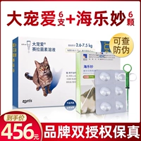 5G Pet Love 6 Cats+6 Haile Miao Cheng Cat 6