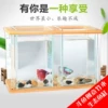 Товары от 草韵水族