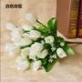 Lễ hội Qingming hoa cúc trắng mô phỏng hoa hồng quét mộ khô hoa giả đặt hoa đặc biệt - Hoa nhân tạo / Cây / Trái cây lan giả