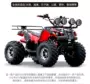 Karting khung đầy đủ off-road lốp xe máy bên trong ống đôi bánh xe lớn ATV mini xe máy lớn xe cào cào mini 125cc