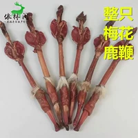 Meihua Deer Whip Dry, корень, полные ветви, свежие мужчины, пенистые приколы могут быть оснащены выбранными оленями, таблетка Jilin