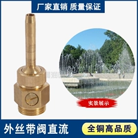 Прямые продажи M10 M12 M14 Внешняя лента клапана DC Spoiler Direct Fountain Fountain Torque Mini сопло
