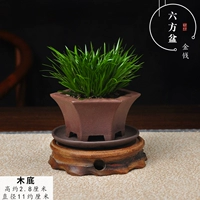 Кремовый, белый