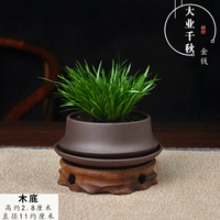 (Фиолетовая грязь) Отличный бизнес тысячи денег с тарелкой+деревянным дном