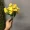 Giải phóng mặt bằng mô phỏng cây xanh hoa giả hoa nhựa phòng khách trang trí hoa sắp xếp hoa nhỏ hoa cỏ tươi - Hoa nhân tạo / Cây / Trái cây