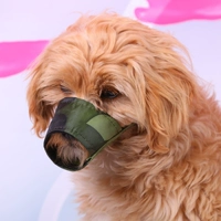 Педанская собака во рту крышка рта анти -подряд называется анти -любимой плюшевой VIP Golden Hair Bhark Mask Mask с бесплатной доставкой