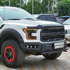 Внедорожные огни 灵猴越野福特猛禽3.5tt rigid雾灯套装