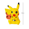 Plastic empty Pikachu 1