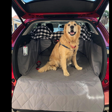 Клетка питомца автомобилей Оформление к&ч домашнее