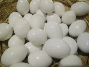 Thư cung cấp chim bồ câu giả trứng bồ câu giả trứng chất lượng cao trứng giả chim bồ câu nước giả trứng rắn giả - Chim & Chăm sóc chim Supplies