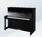 Đàn piano thẳng đứng mới Schultz 122TB - dương cầm