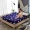 Mùa đông ấm áp flannel bed 笠 san hô lông cừu trải giường Simmons bảo vệ nệm bọc nệm trượt giường đơn mảnh