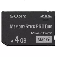 Sony, цифровая камера, карта памяти, T77, T700, T90, T300, T200, T70, 4G