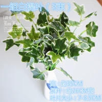 3 пучки листа Байье