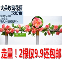 Big Duo Rose Vine-Rose Powder 2