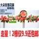 Big Duo Rose Vine-Rose Powder 2