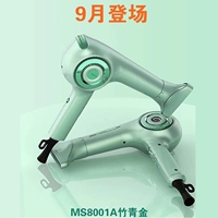MS8001A Чжу Циндзин